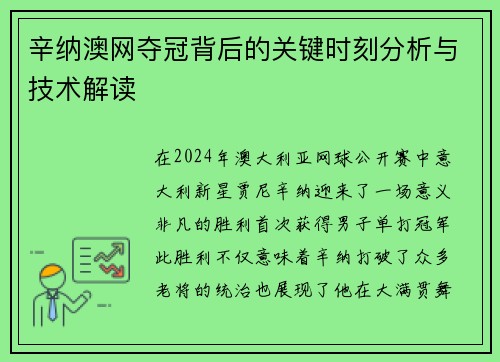辛纳澳网夺冠背后的关键时刻分析与技术解读